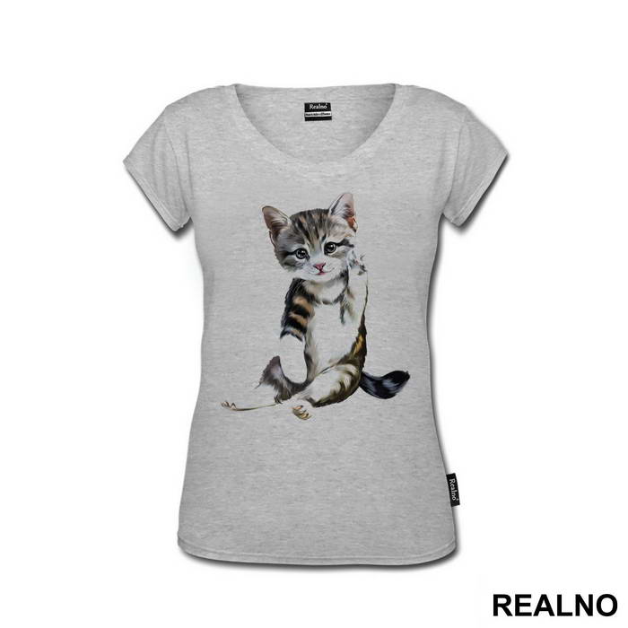 Cute Kitten - Životinje