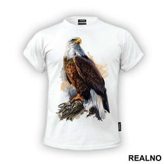 Eagle In The Wild - Životinje