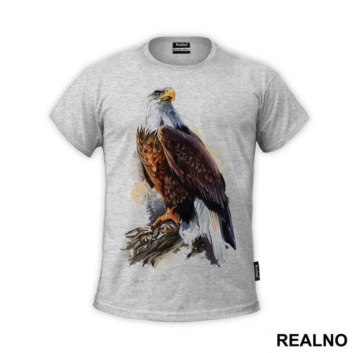 Eagle In The Wild - Životinje