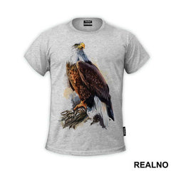 Eagle In The Wild - Životinje