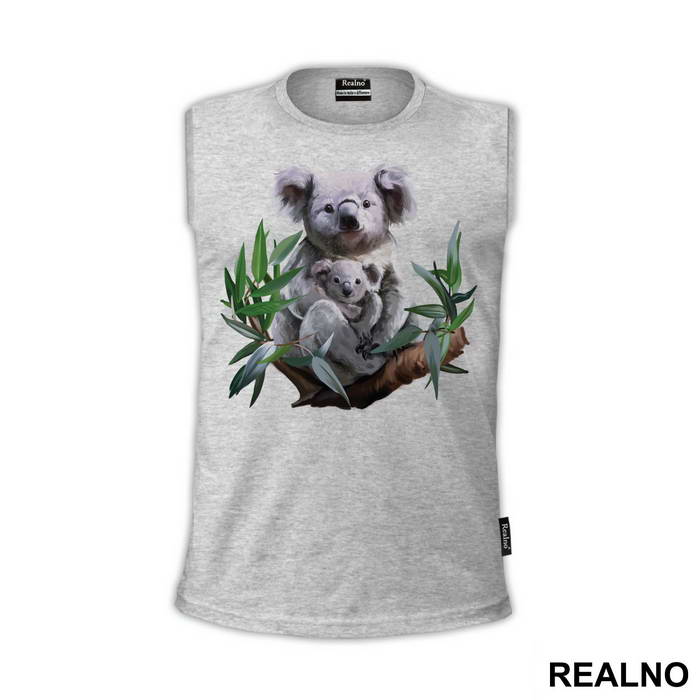 Koalas On A Branch - Životinje