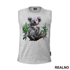 Koalas On A Branch - Životinje