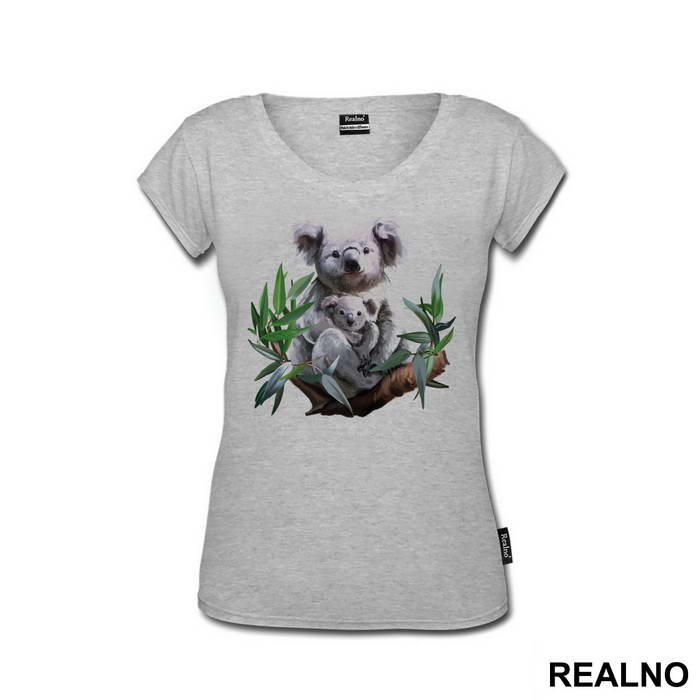Koalas On A Branch - Životinje