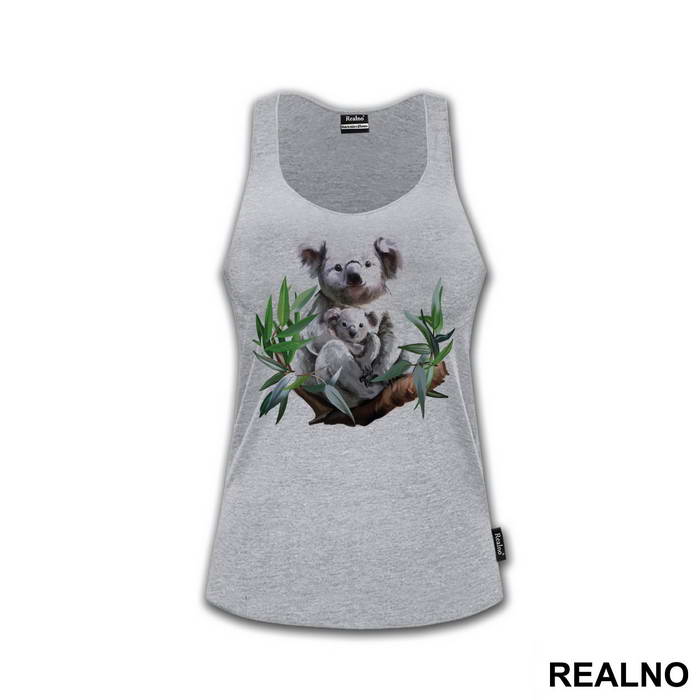 Koalas On A Branch - Životinje