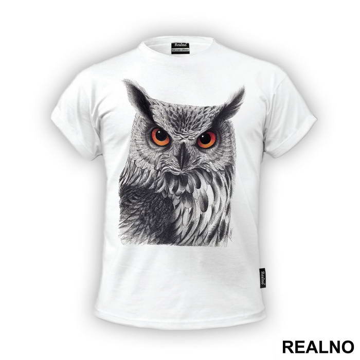 Owl Orange Eyes - Životinje
