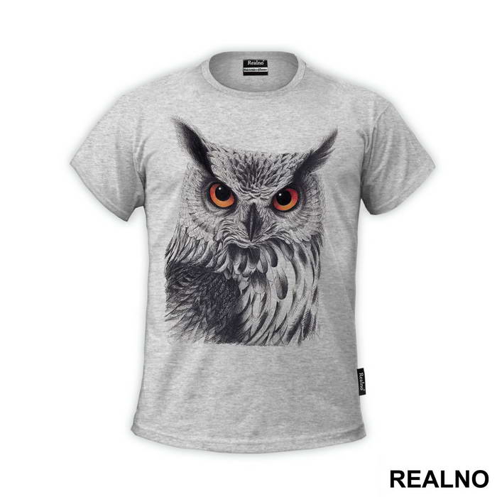 Owl Orange Eyes - Životinje
