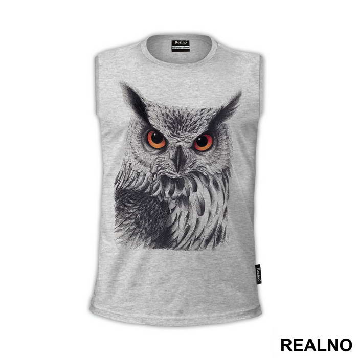 Owl Orange Eyes - Životinje