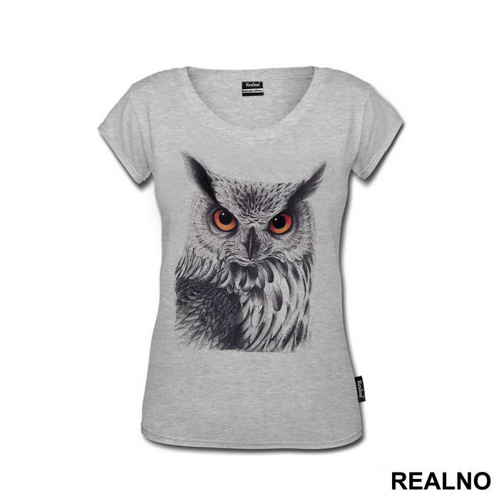 Owl Orange Eyes - Životinje