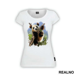 Panda On A Branch - Životinje