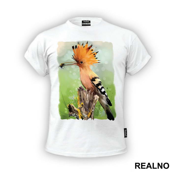 Eurasian Hoopoe Eating A Bug - Životinje