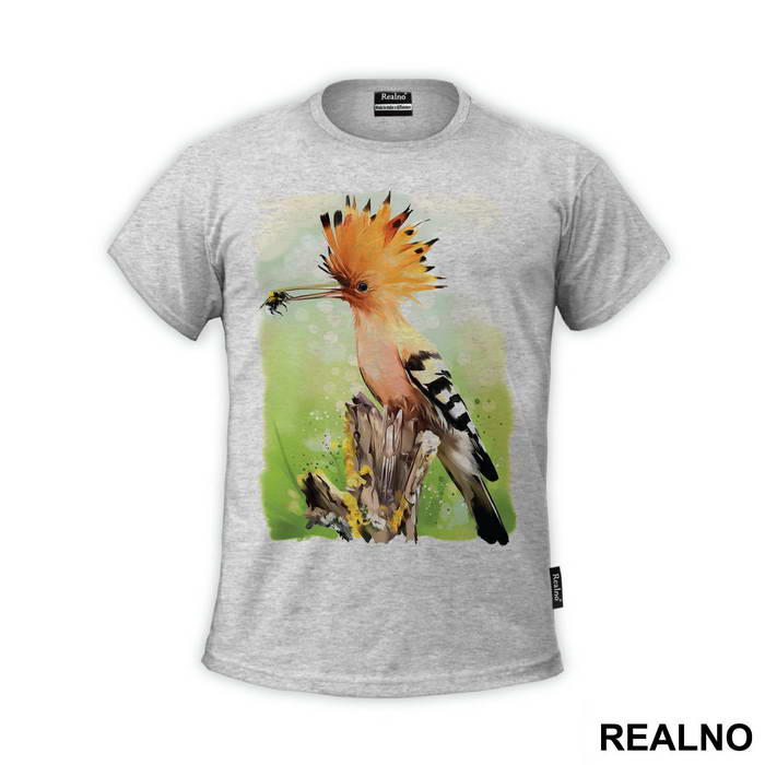 Eurasian Hoopoe Eating A Bug - Životinje