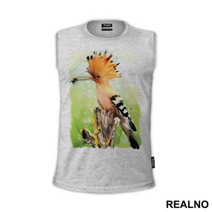 Eurasian Hoopoe Eating A Bug - Životinje