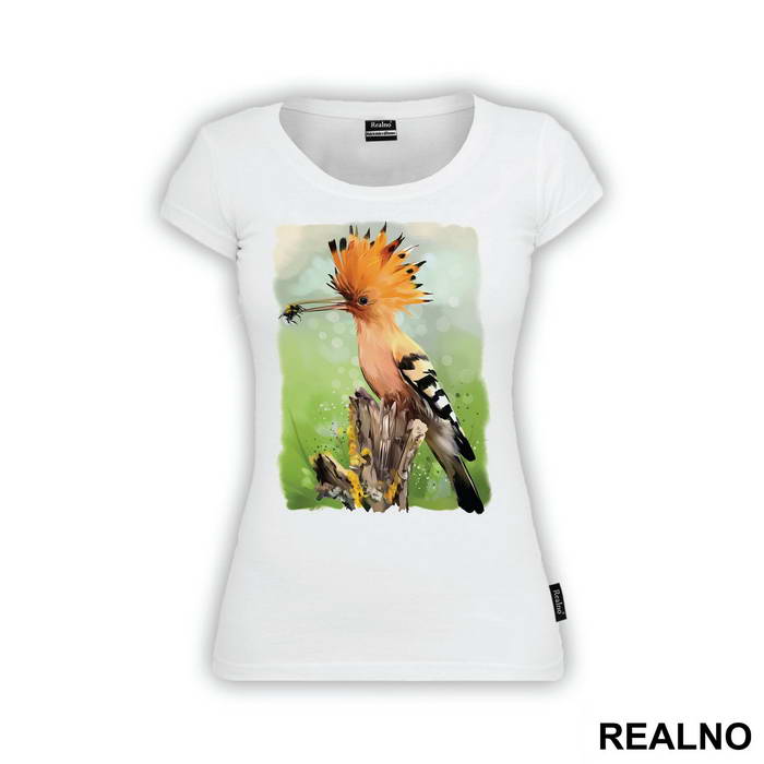 Eurasian Hoopoe Eating A Bug - Životinje