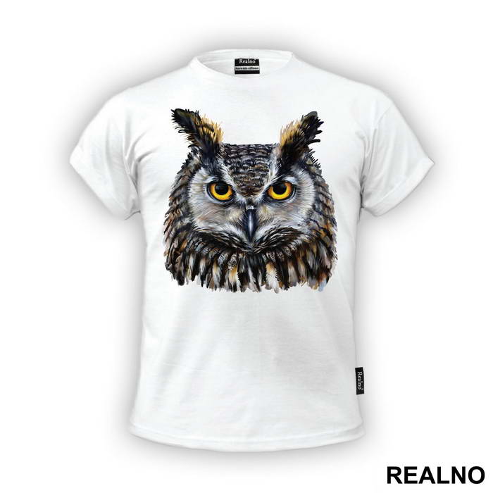 Owl Color Portrait - Životinje