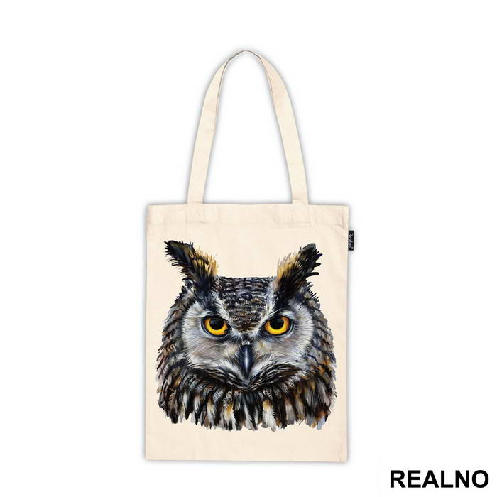 Owl Color Portrait - Životinje