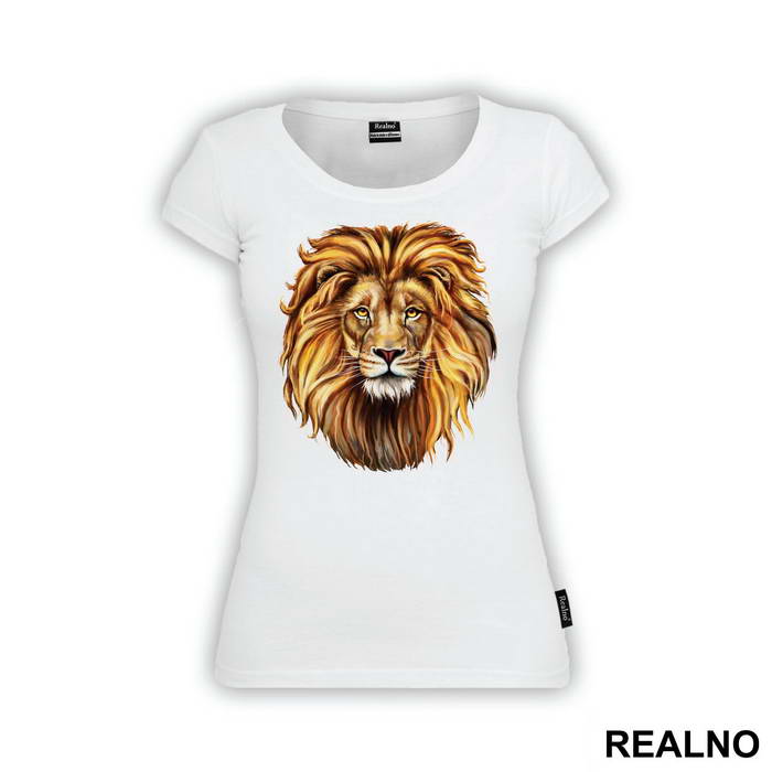 Lion Head Illustration Portrait - Životinje