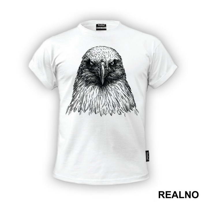 Eagle Pencil Drawing - Životinje