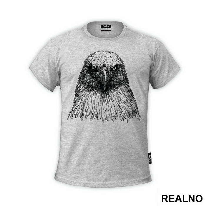 Eagle Pencil Drawing - Životinje
