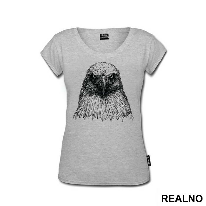 Eagle Pencil Drawing - Životinje