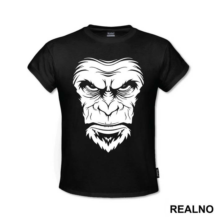 Ape Face Portrait - Životinje