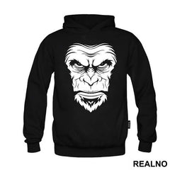 Ape Face Portrait - Životinje