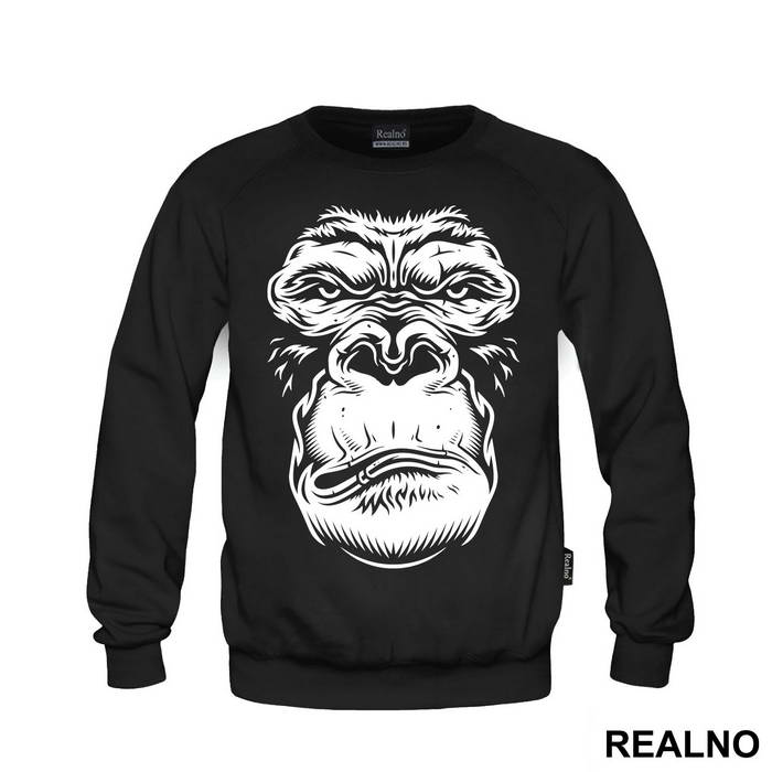 Monkey Face Portrait - Životinje