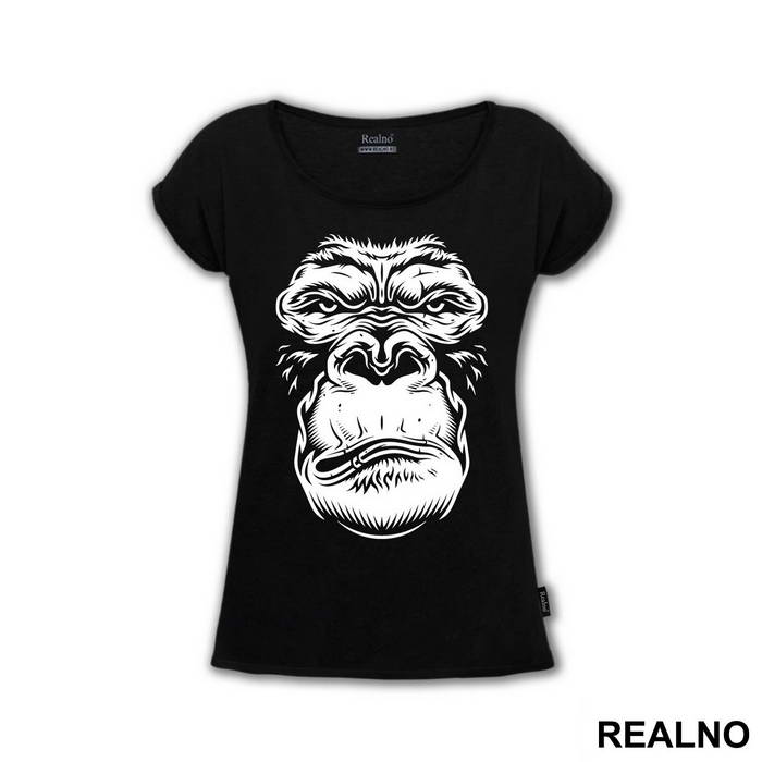 Monkey Face Portrait - Životinje