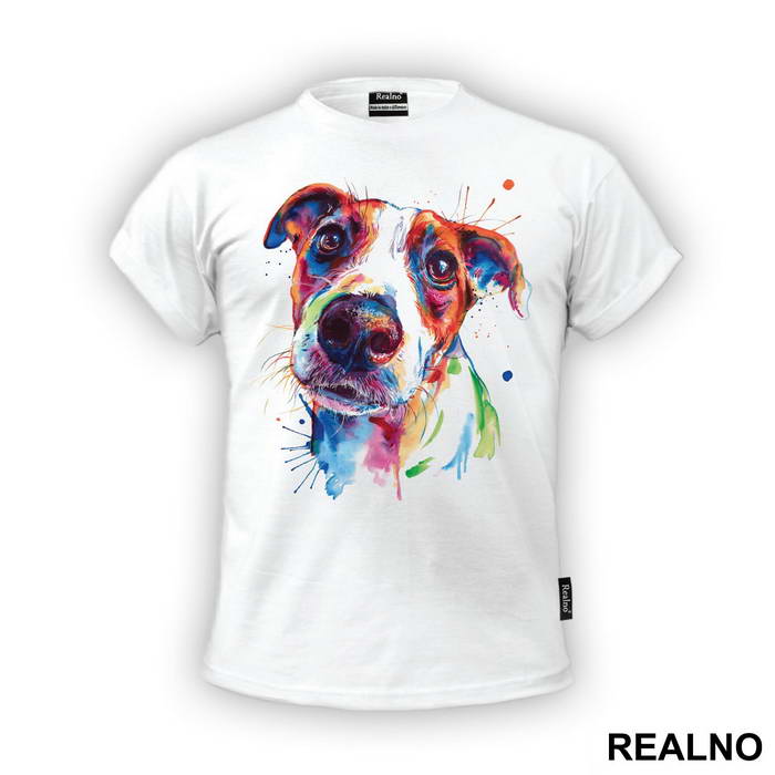 Jack Russell Terrier - Životinje