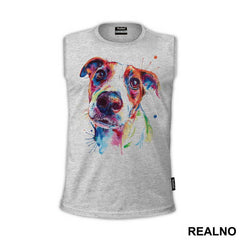 Jack Russell Terrier - Životinje