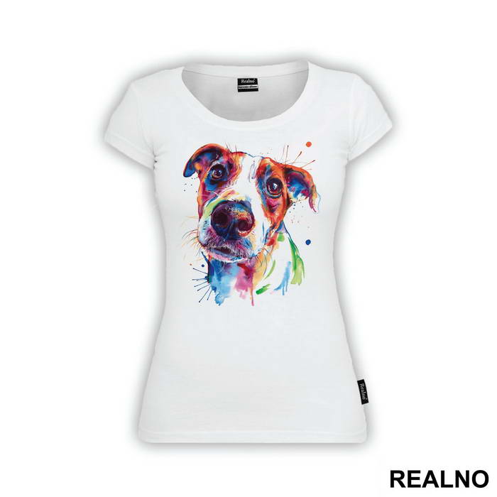 Jack Russell Terrier - Životinje