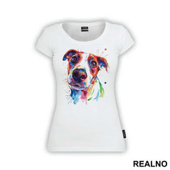 Jack Russell Terrier - Životinje