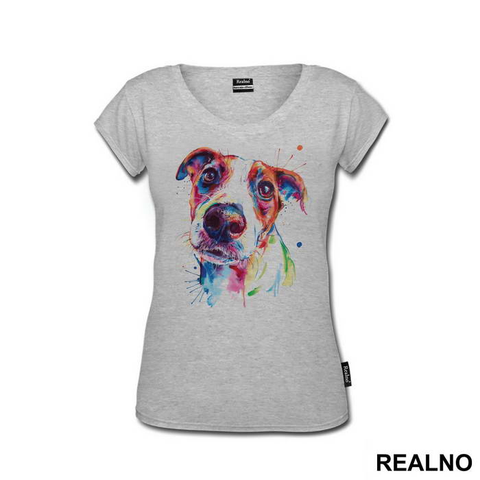 Jack Russell Terrier - Životinje