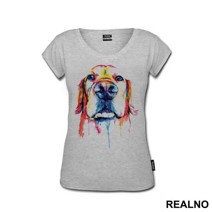 Bernese Mountain Dog - Životinje