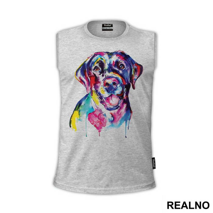 Colorful German Pointer - Životinje