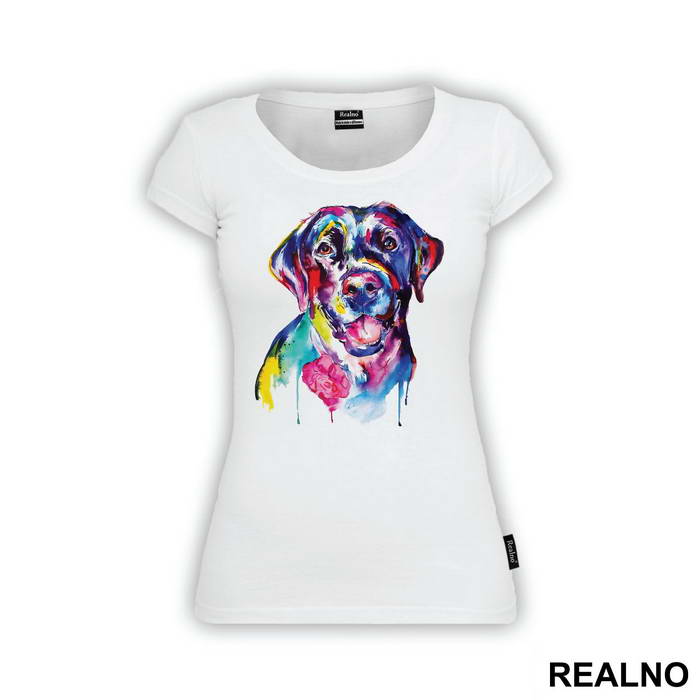 Colorful German Pointer - Životinje