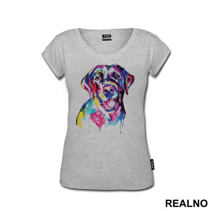 Colorful German Pointer - Životinje