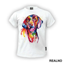 Colorful Doberman - Životinje