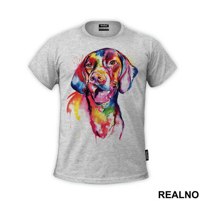 Colorful Doberman - Životinje