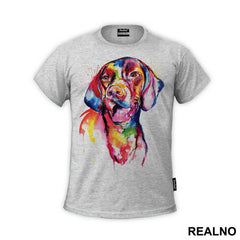 Colorful Doberman - Životinje