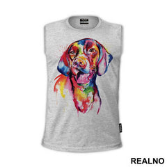 Colorful Doberman - Životinje