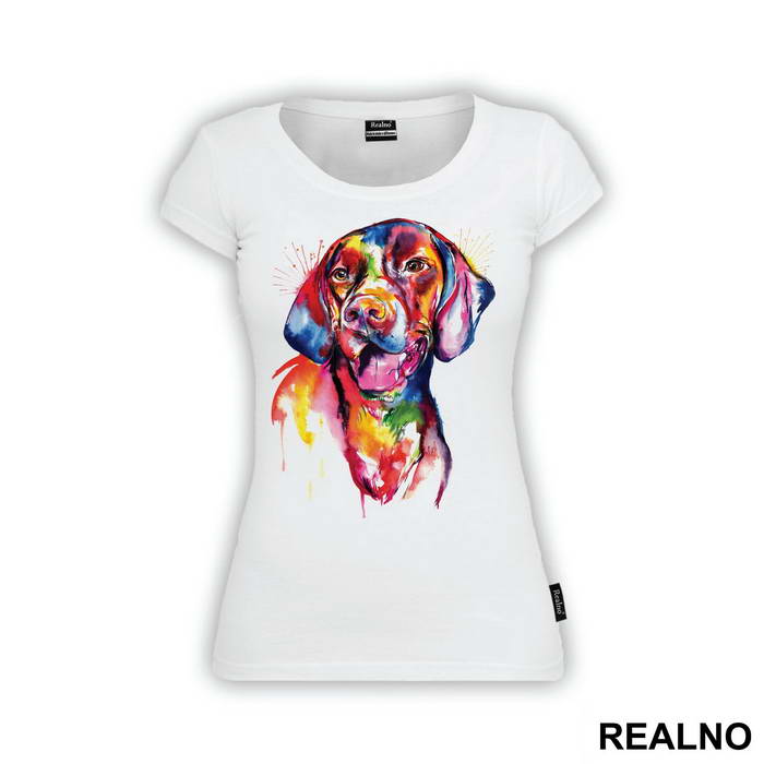 Colorful Doberman - Životinje
