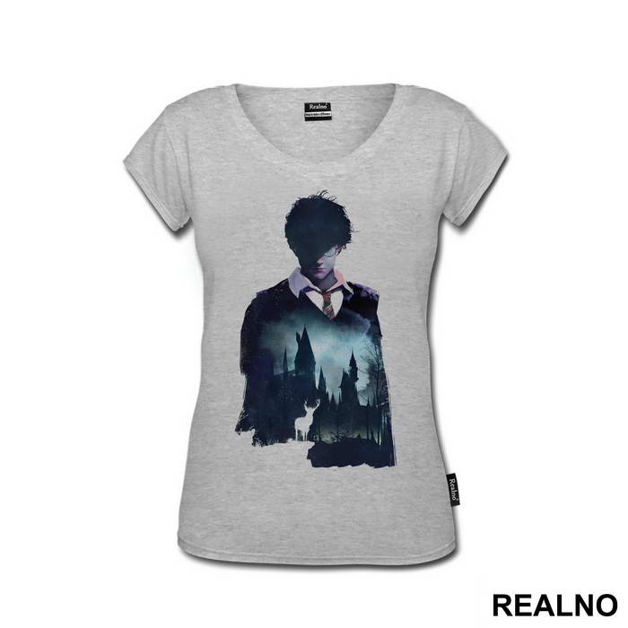 Harry Potter Double Exposure - Harry Potter