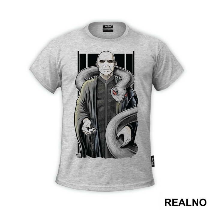 Voldemort With A Wand And A Snake - Harry Potter