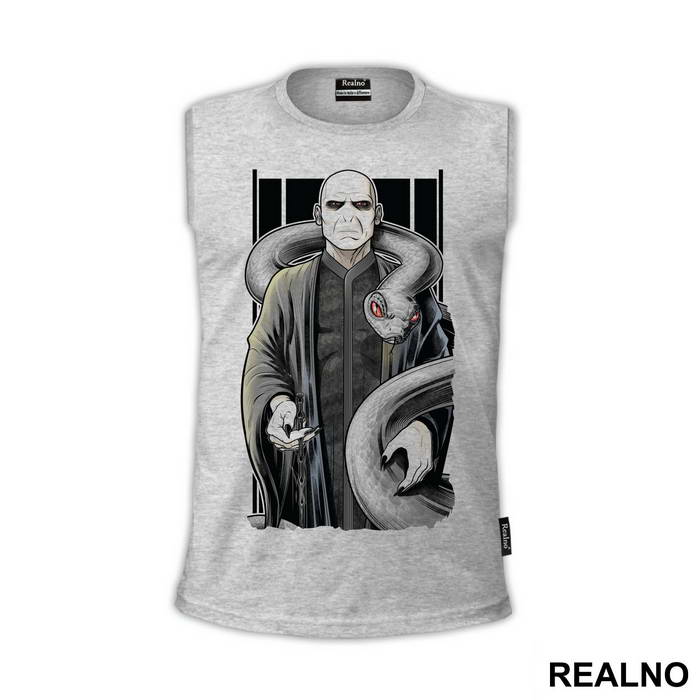Voldemort With A Wand And A Snake - Harry Potter