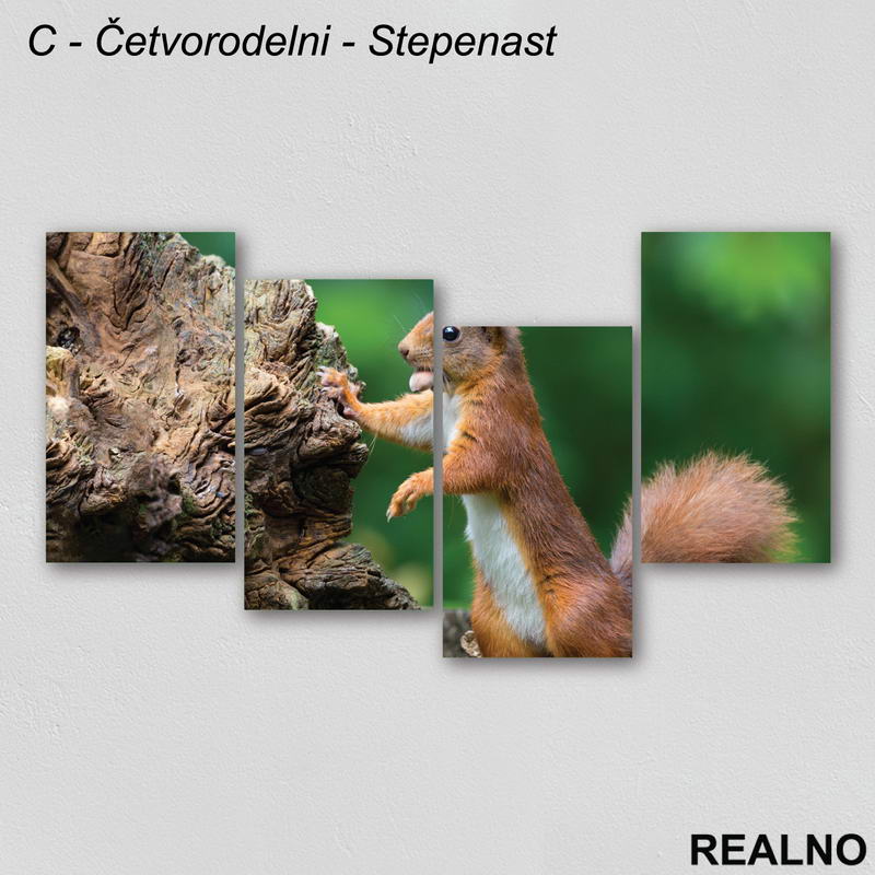 Veverica sa lešnikom - Slika na platnu - Kanvas