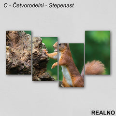 Veverica sa lešnikom - Slika na platnu - Kanvas