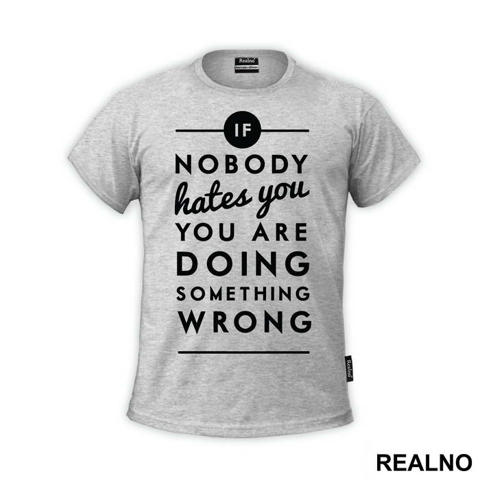 If Nobody Hates You You're Doing Something Wrong - House