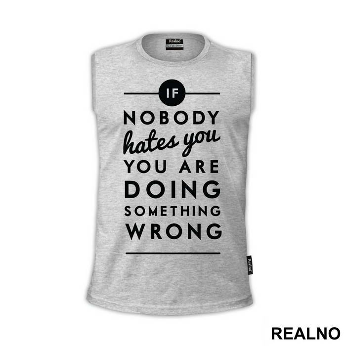If Nobody Hates You You're Doing Something Wrong - House