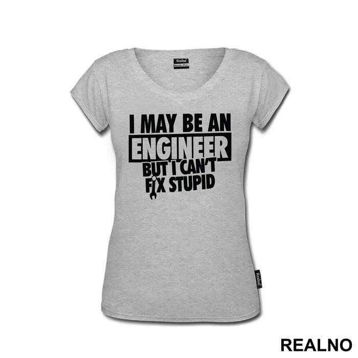 I Can't Fix Stupid - Engineer