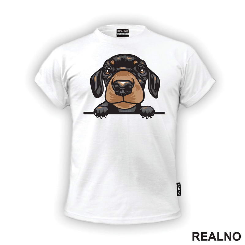 Peaking Puppy Dachshund - Pas - Psi